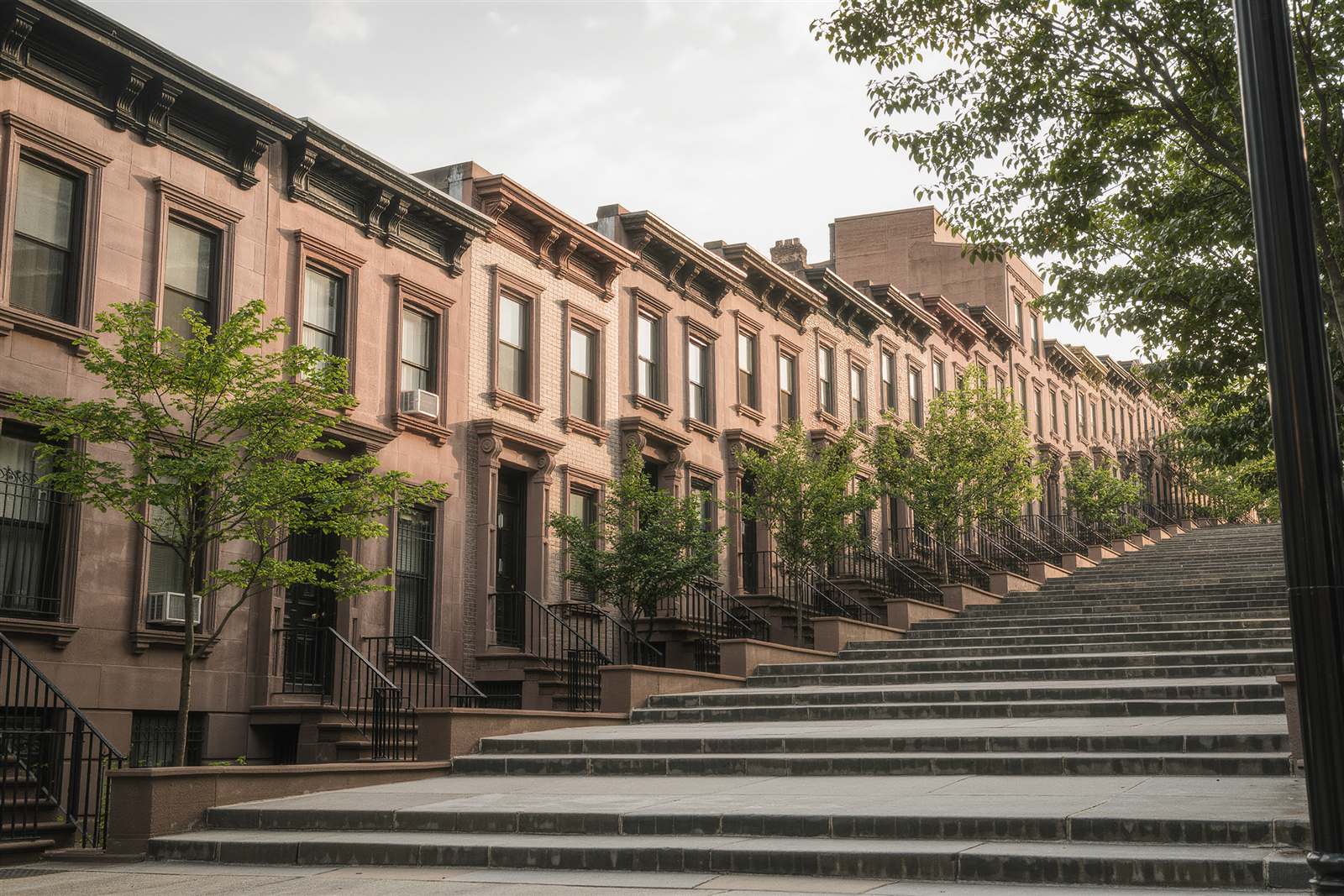 Row houses above a wide flight of stone steps on a hillside street with young trees