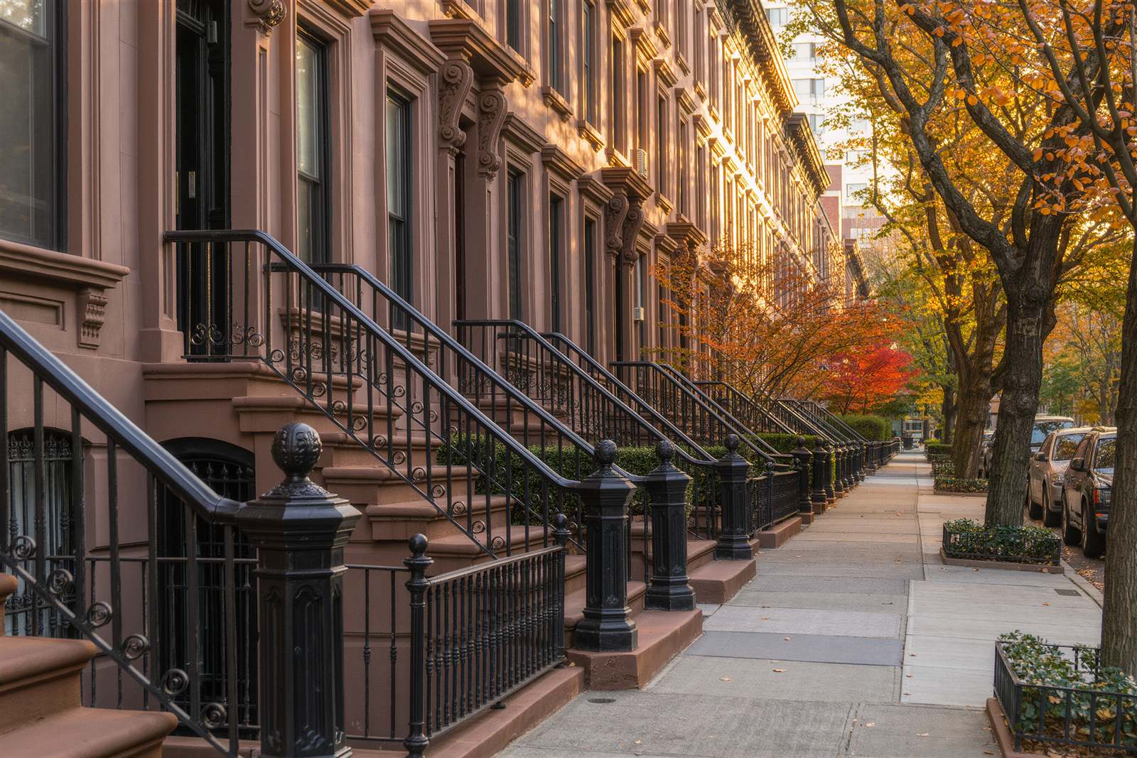 A row of brownstone stoops with black iron railings along a tree-lined street in autumn light
